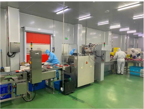 阵容强大，明天再聚青岛 金融服务的新征程