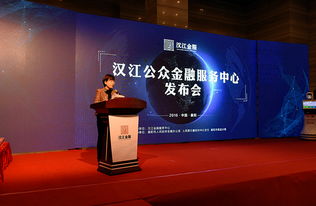 襄阳汉江金融服务中心上线 创新服务助力企业融资发展