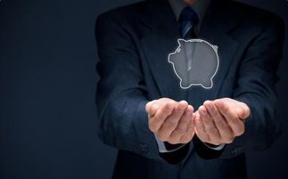 鱼猫金服 金融服务全解析，让财富管理触手可及