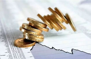 金融服务助力乡村振兴 明确三大阶段性目标，绘就发展新蓝图